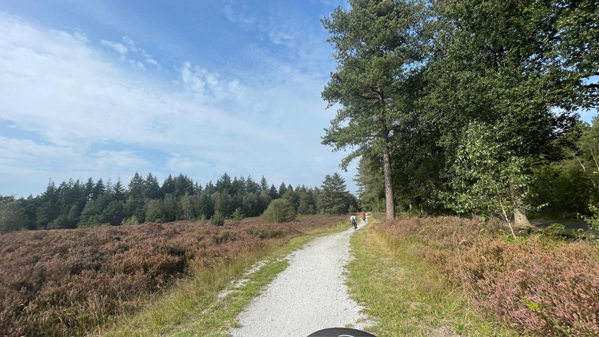 IJhorst Sayang26 Gezellige Gezinsvriendelijke Stacaravan Op Familiecamping De Vossenburcht In Natuurgebied Reestdal - No Workers Allowed 빌라 외부 사진